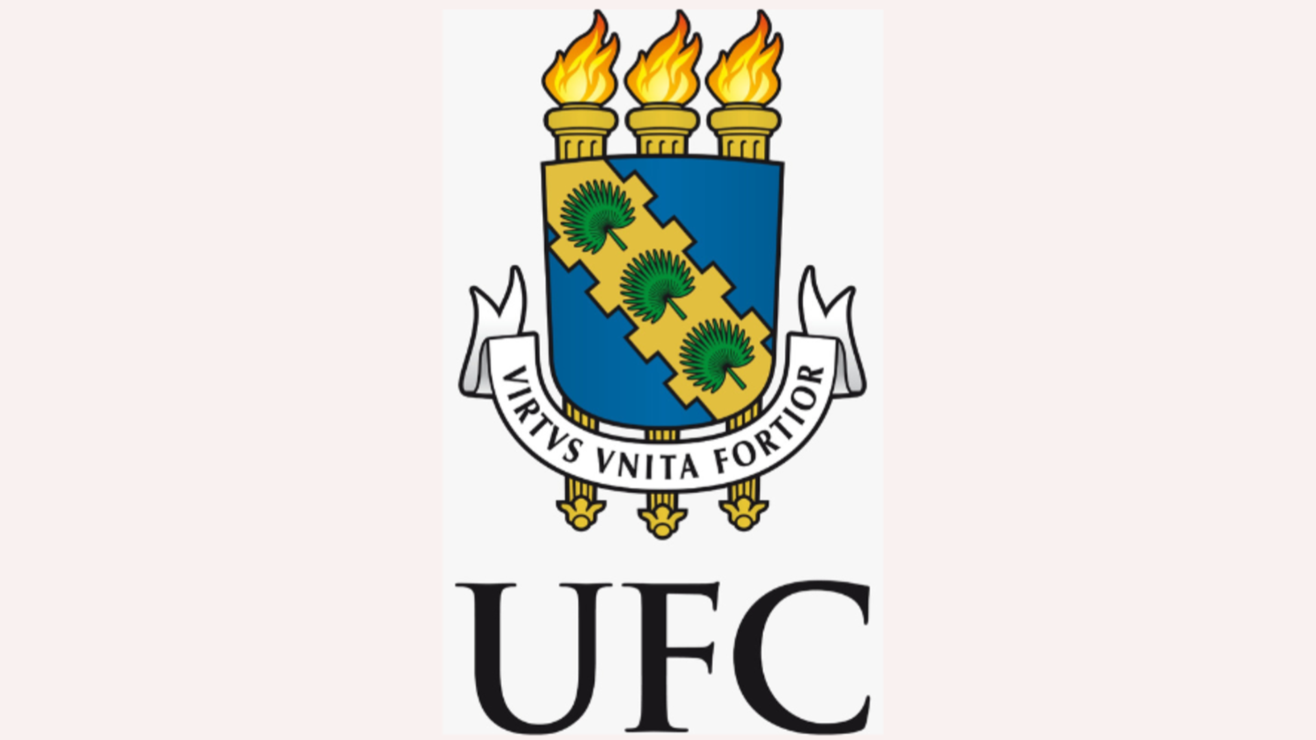 UFC